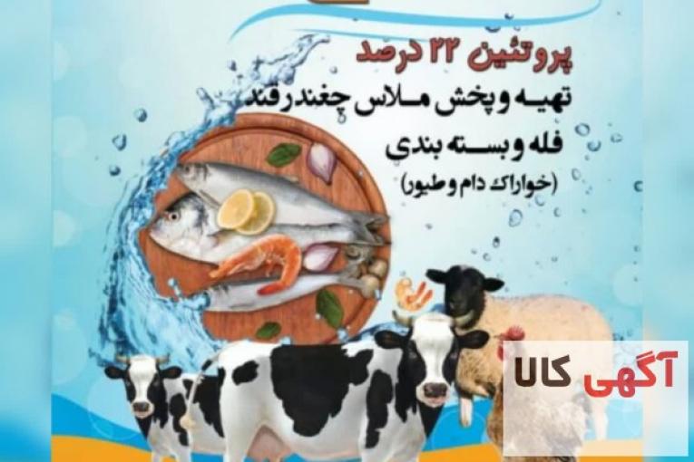 تهیه پخش وفروش ملاس چغندر قند