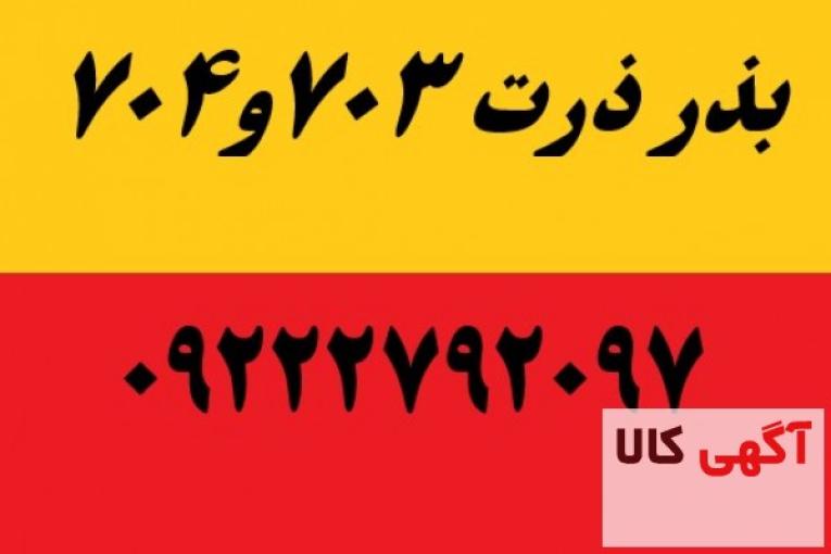 بذر ذرت رقم 703 و 704|09222792097