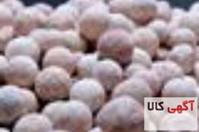 زئولیت ، سیلیکاژل ، مولکولارسیو ، آلومینیوم اکتیو