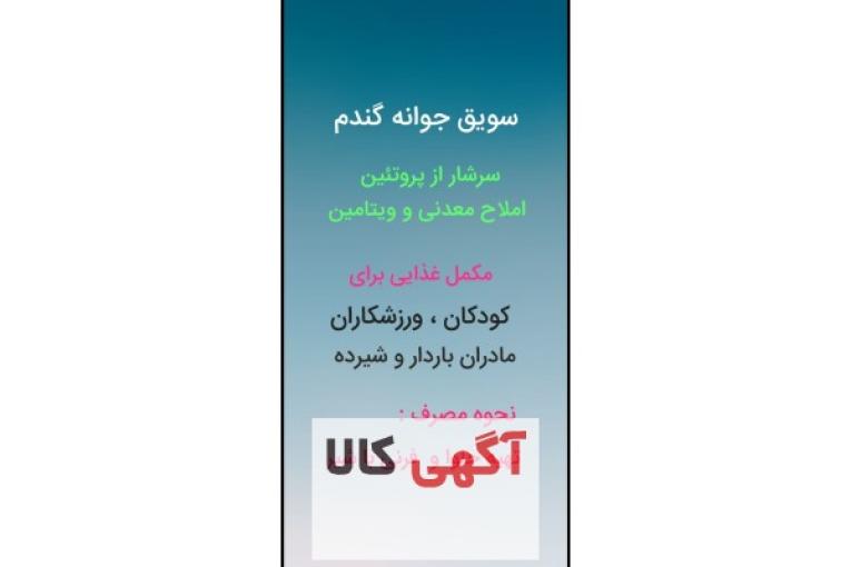 سویق جوانه گندم