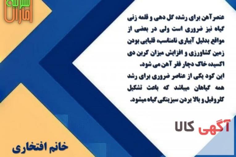 کود پودری سولفات آهن 