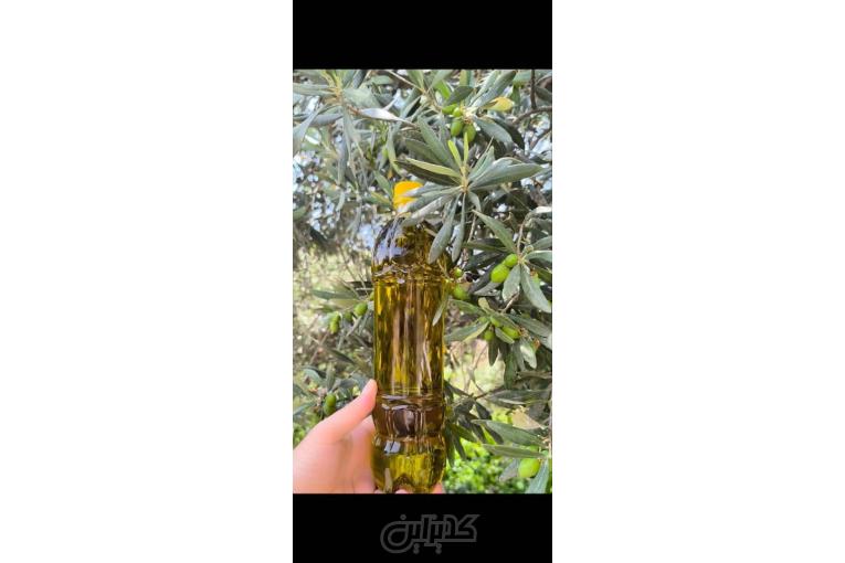 روغن زیتون فرابکر طارم | خالص، خانگی، پرس سرد، عطر طبیعی