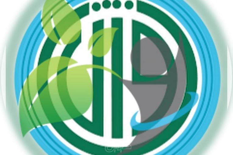 دیابت شاپ اوژن