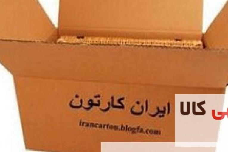 تولید کارتن خیار