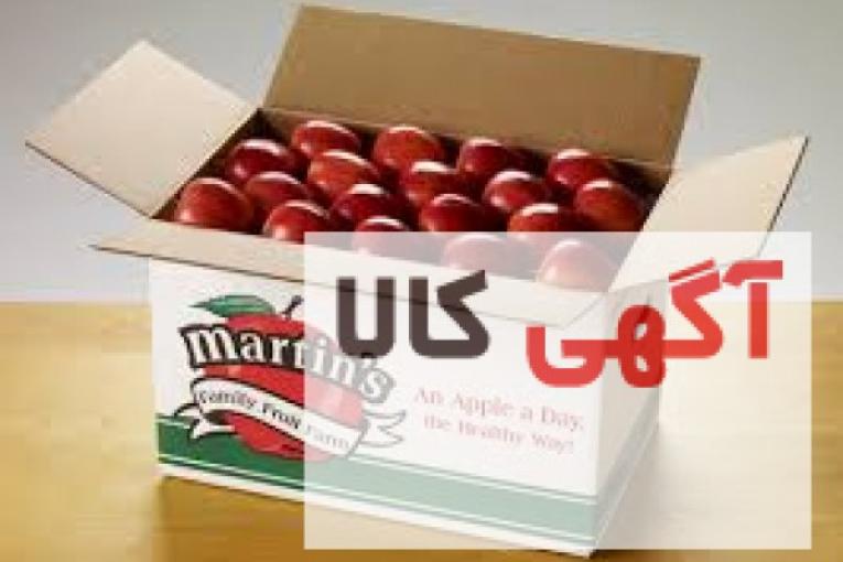 تولید کارتن انار