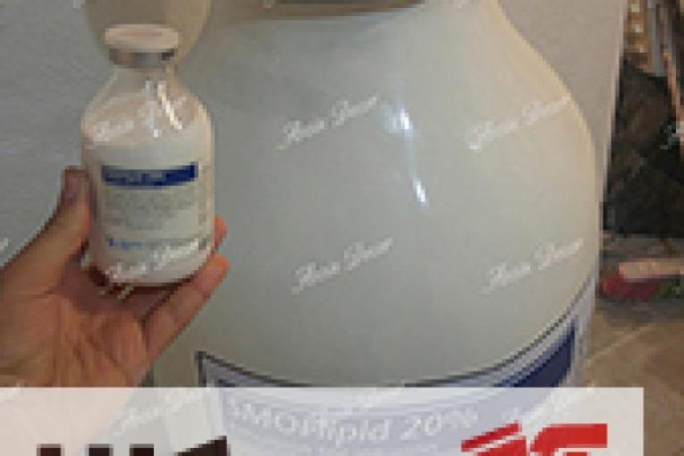 ماکت شیشه دارو