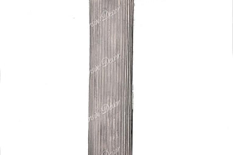 سر ستون هخامنشی