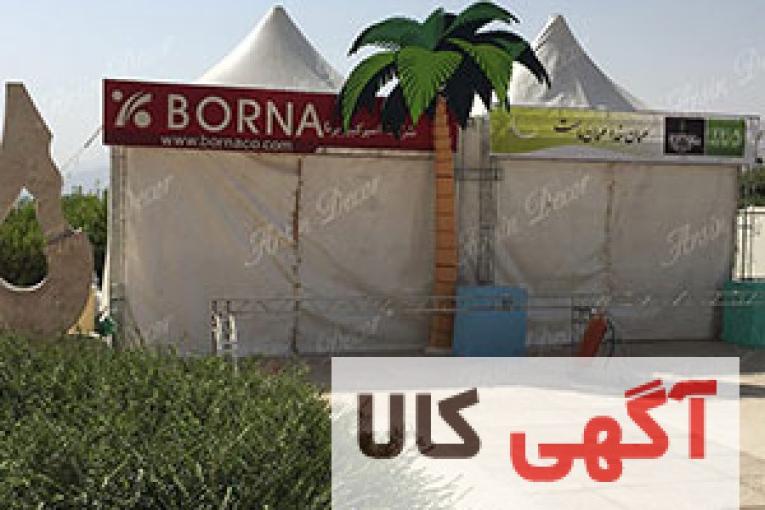 ماکت نخل خرما