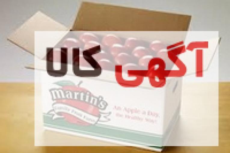 تولید کارت سیب