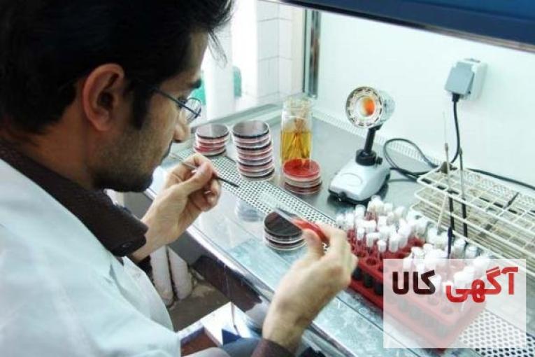 مواد صنعتی و متالوگرافی با کمترین قیمت