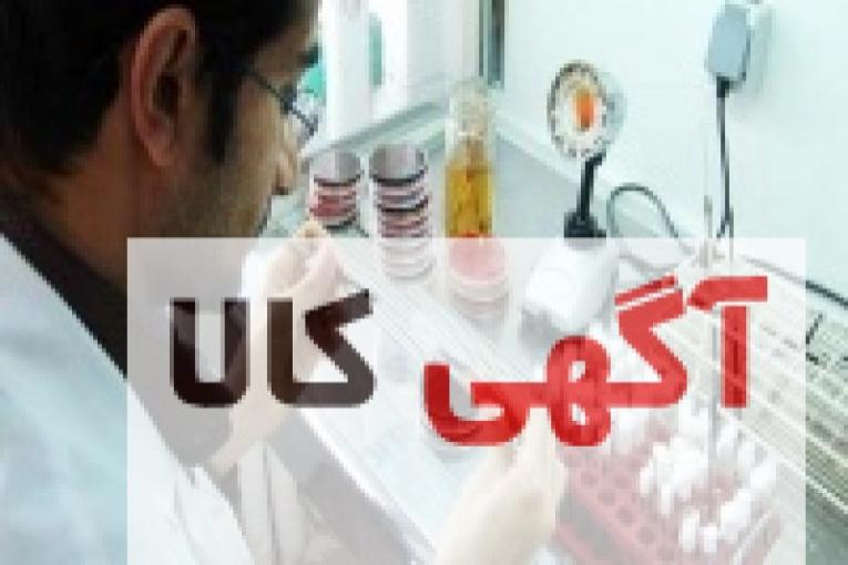 انواع خمیر الماسه با برندهای مختلف