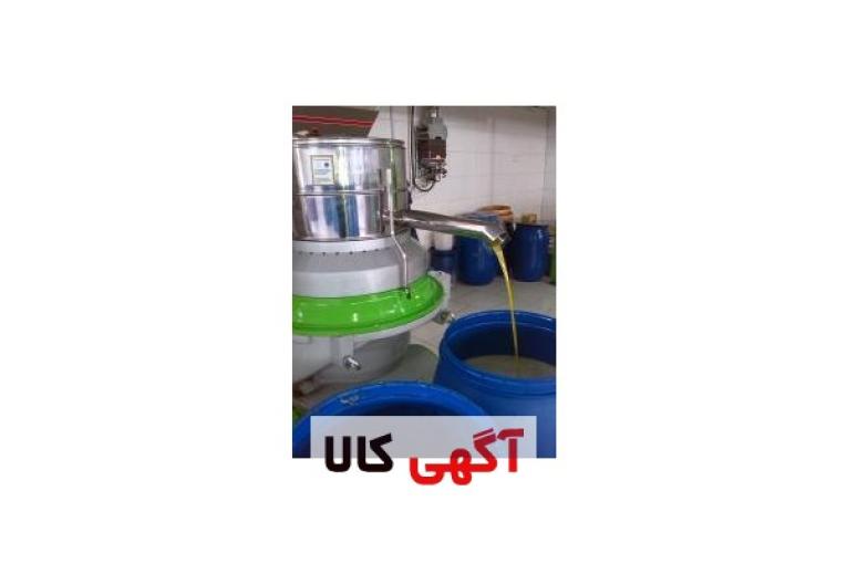 فروش روغن زیتون مستقیم از کارخانه تولید کننده