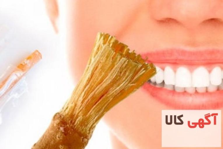 چوب مسواک طبیعی بسته 10 عددی