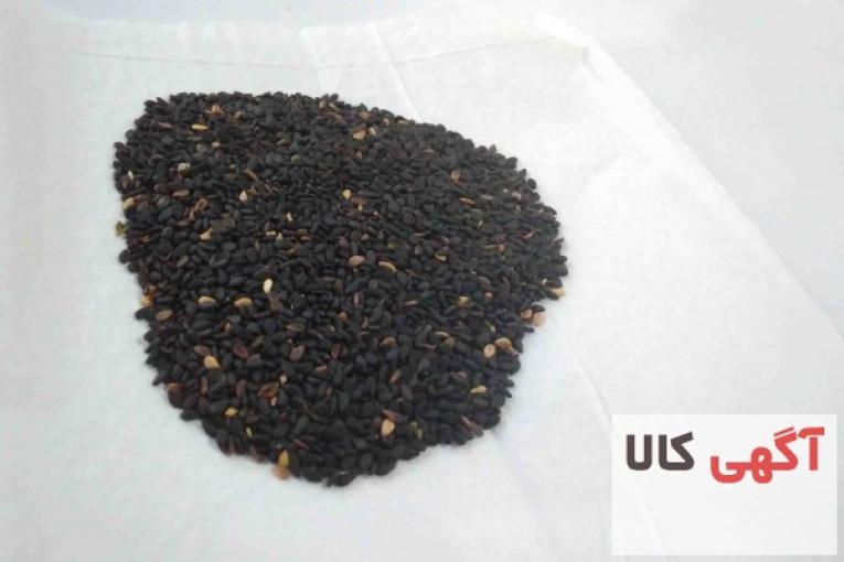 فروش کنجد ایرانی اعلا جهت مصرف خوراکی و روغن کشی و حلوا