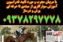 آموزش سوارکاری در کرج و تهران 09378297778>