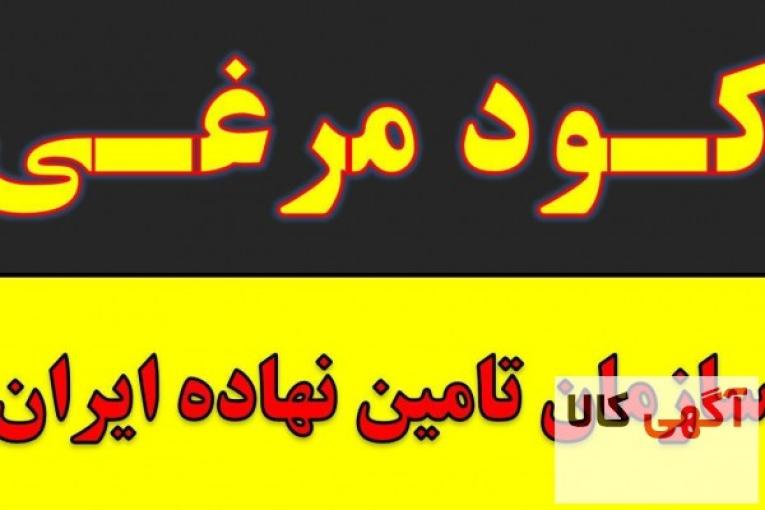 فروش و خرید کود مرغی در کرمان