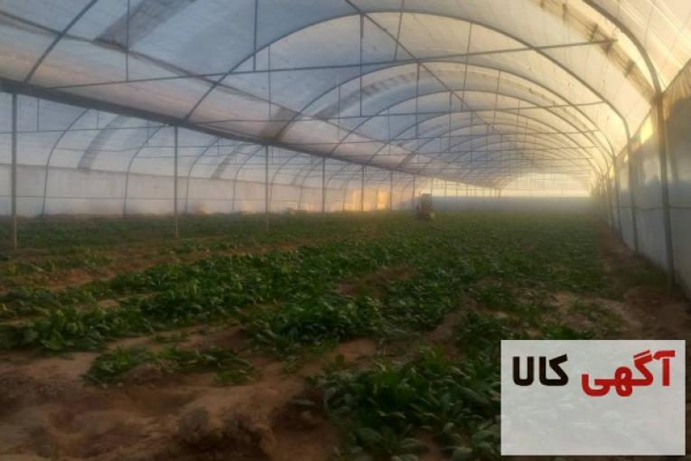 هیتر گلخانه 