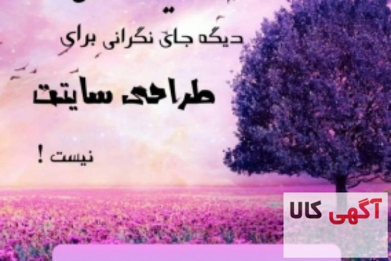 تخفیف عیدانه طراحی سایت رادیس افزار