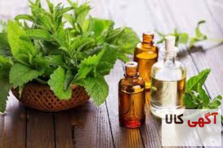 نایسین ( نایزین ) تولید کشورترکیه، برندArnova