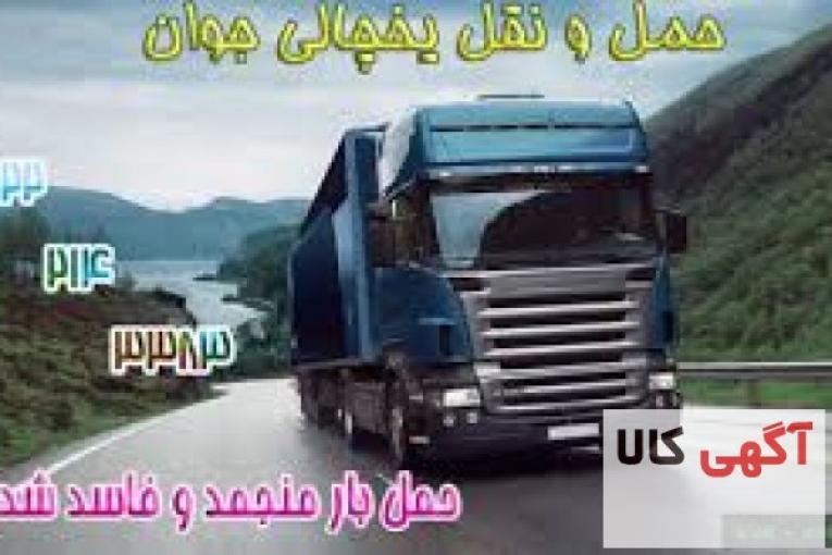 سامانه حمل و نقل و باربری یخچالی بندرگناوه