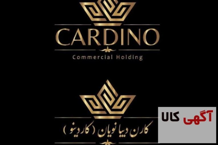 بازاریاب حرفه ای با حقوق ثابت و پورسانت و مزایا