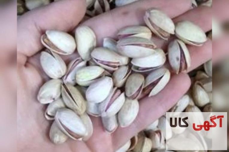 فروش پسته با کیفیت فوق العاده و خوش طعم